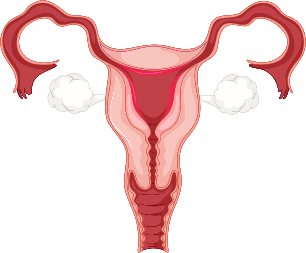 sperm