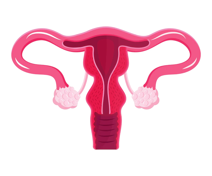 sperm