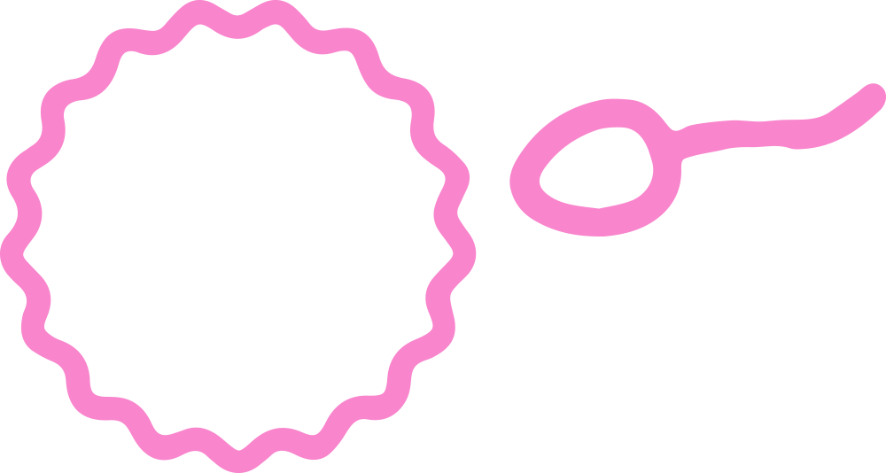 sperm