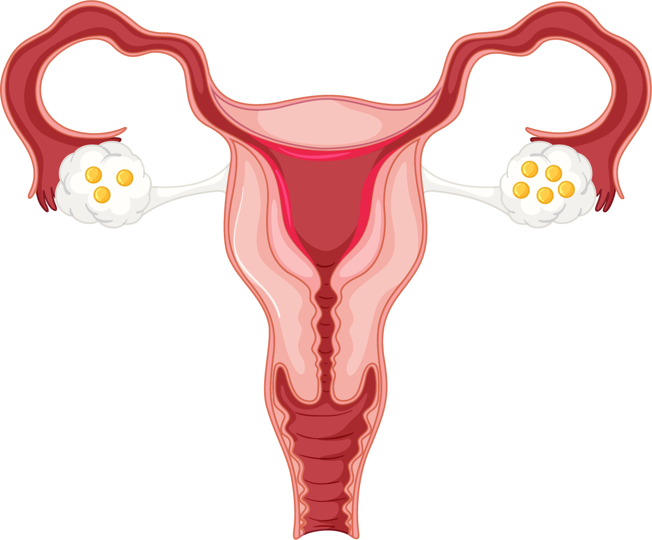 sperm